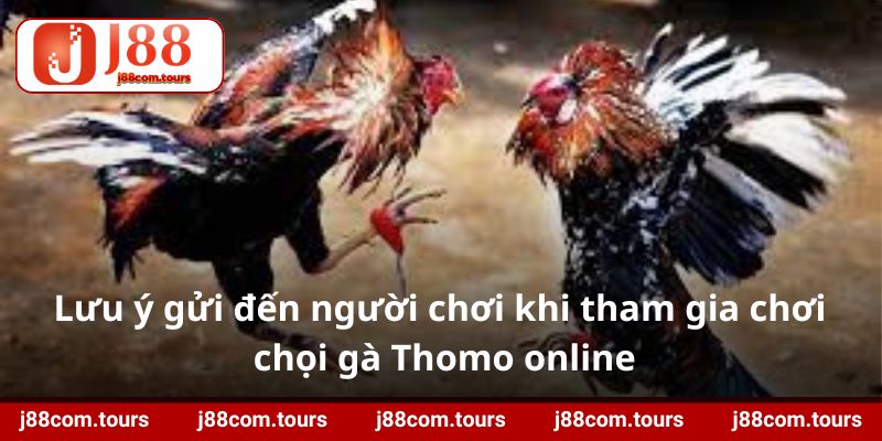 Lưu ý gửi đến người chơi khi tham gia chơi chọi gà Thomo online